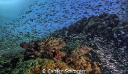 Sea by Carsten Schroeder 